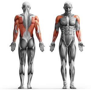 Kurze Schiene für Kettenzug MH-C002 - Marbo Sport