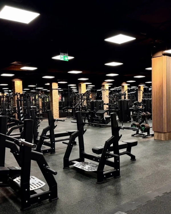 Olympia banc de presă plat UR-L002 - UpForm