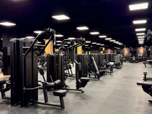 Dual Lat Pulldown UR-U018 - UpForm