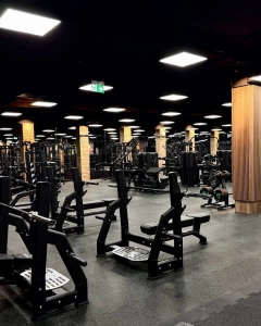 Olympia banc de presă plat UR-L002 - UpForm