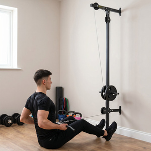 Tracțiunea de tragere a laturilor montată pe perete SG-17 - Accesorii de fitness SmartGym